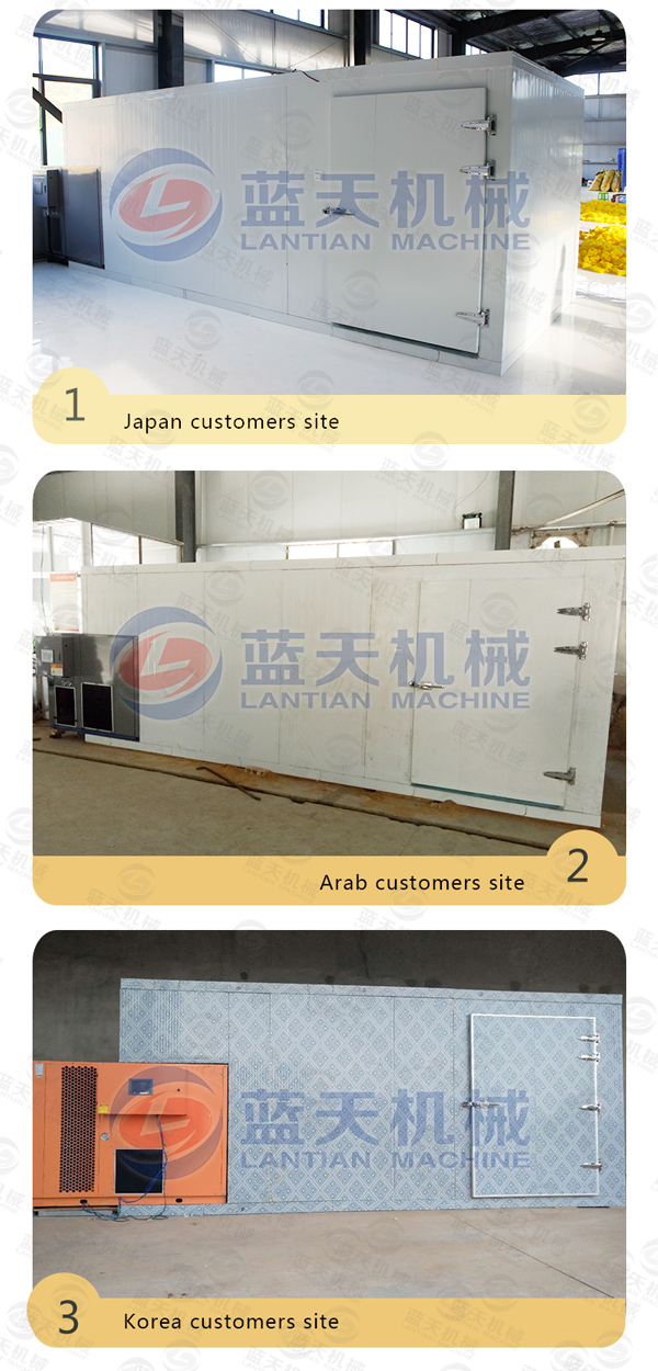 apricot drying machine manufacturer