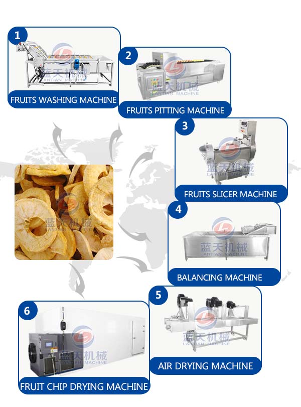 apricot drying equipments