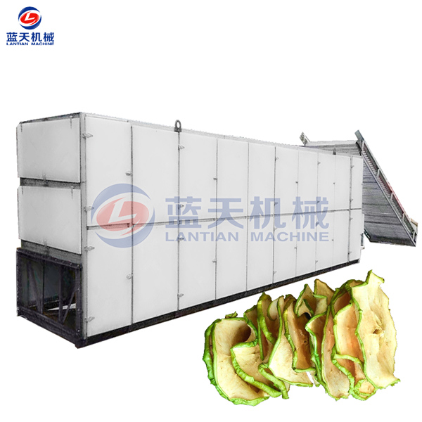 apricot chips dryer machine