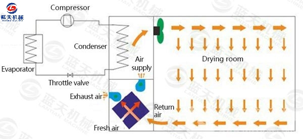 electric vegetable dryer