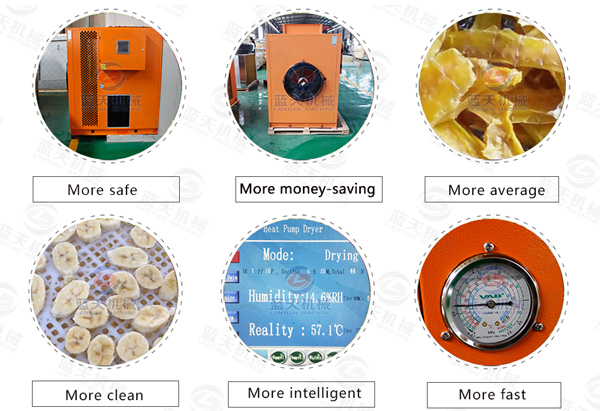Features of fruit drying machine