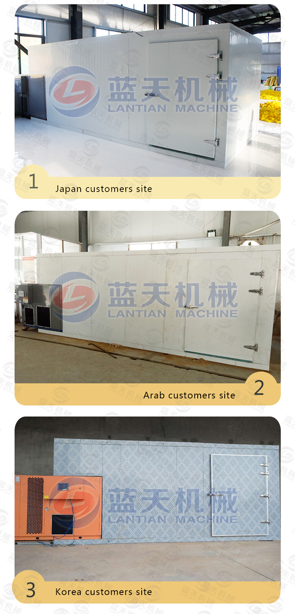 Customers sites of fruit drying machine