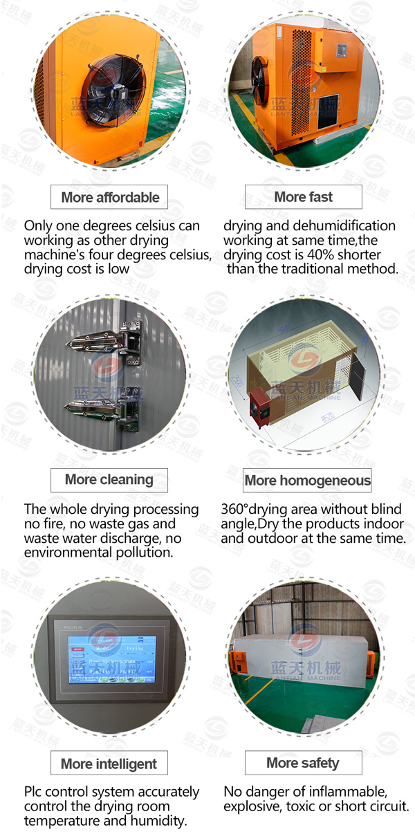 Features of vegetable drying machine