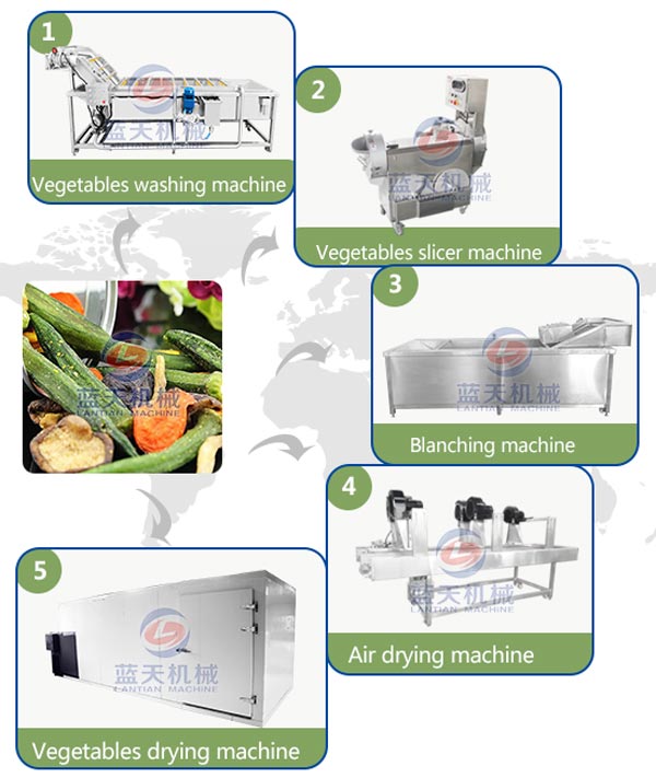 Processing of vegetable drying machine