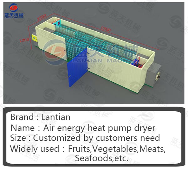 Structure diagram of sea food dryer machine