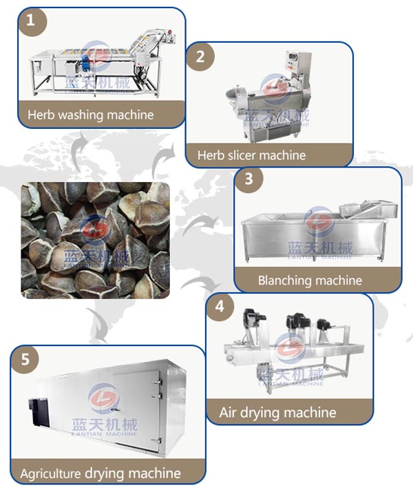 Drying process of herb drying machine