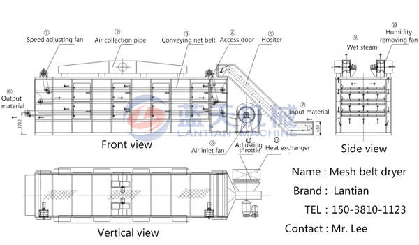 Structure diagram of fruit chip drying machine