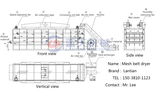 Working principle of our vegetable dryer