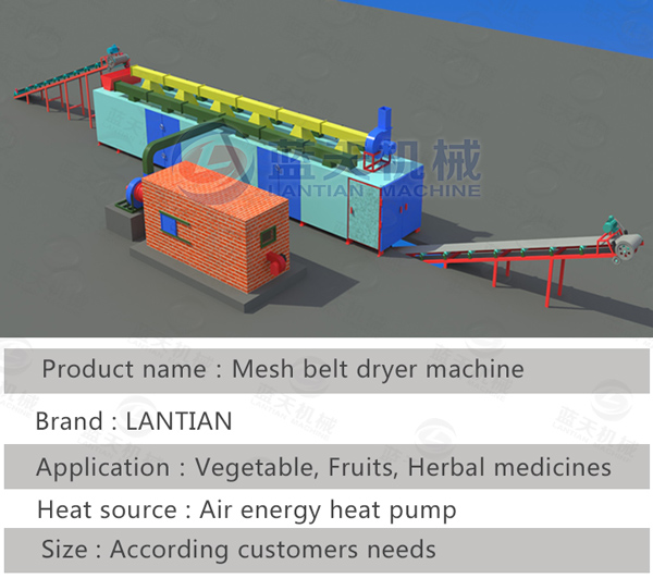 Structural diagram and parameters of our vegetable dryer