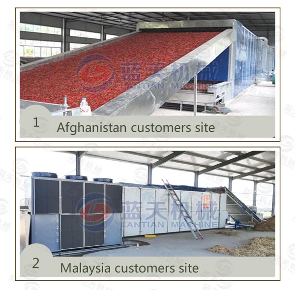 Customers sites of our vegetable dryer