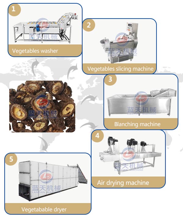 Drying process of our vegetable dryer