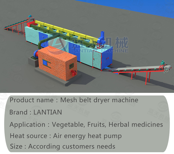 Structural diagram and parameter of herb dryer