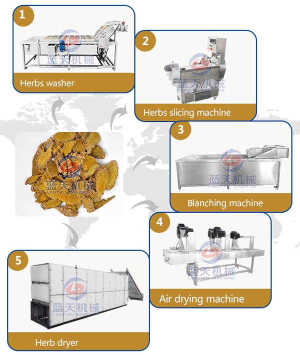 Drying process of herb dryer