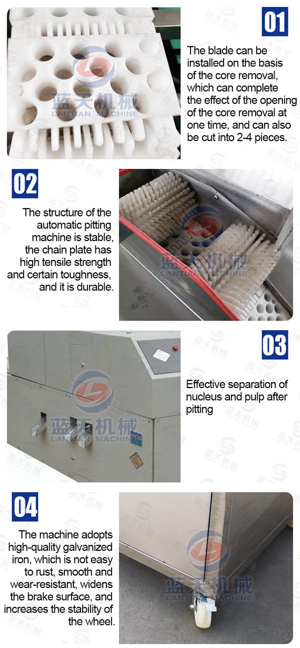 Features of pitting machine