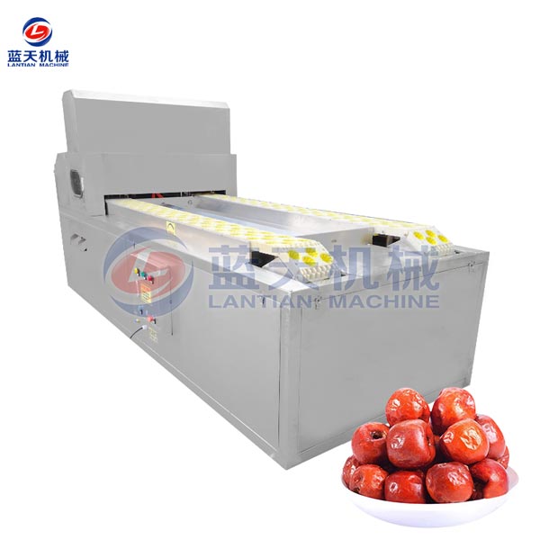 Fruit Pitting Machine