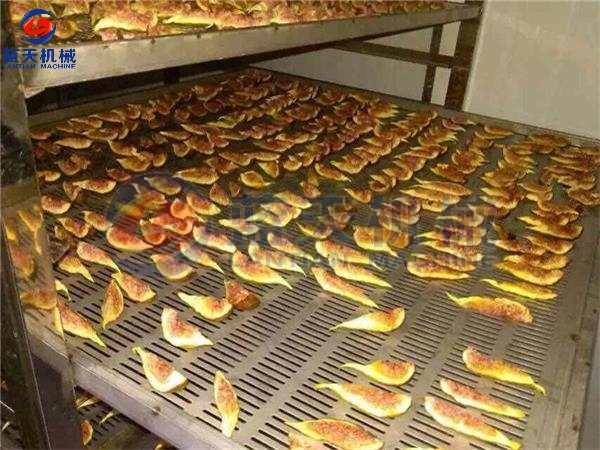 Turkey Customers Drying Fig