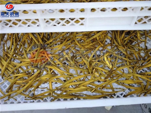 Singapore Customers Drying Daylily