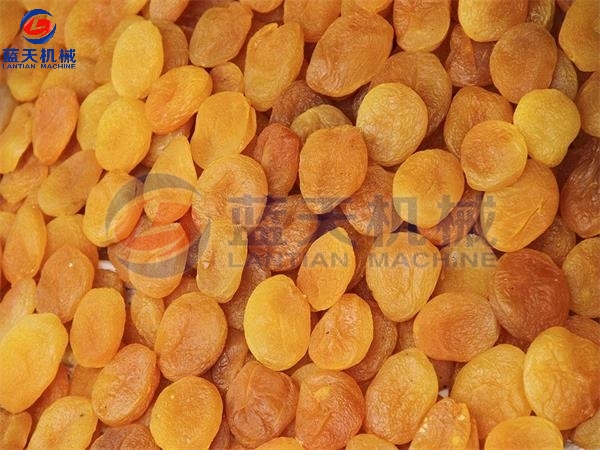 Apricot Drying Process