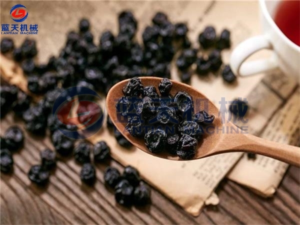 Blueberry Drying Process