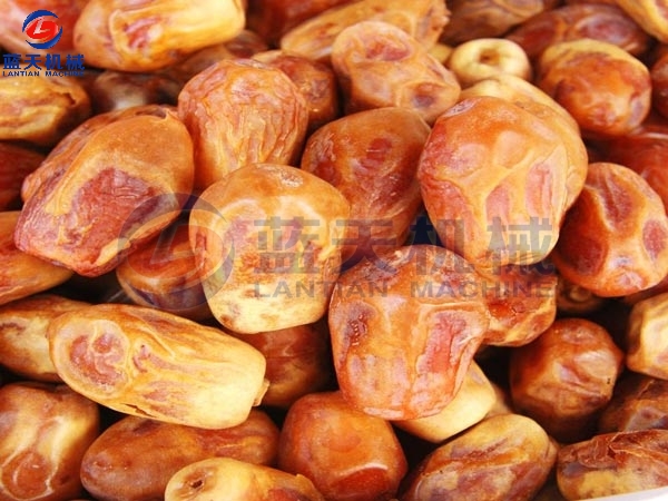 Date Palms Drying Process