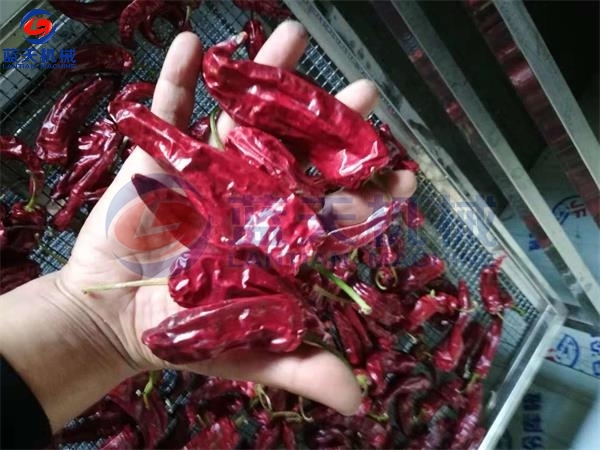 Chilli Drying Process