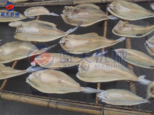 Fish Drying Process