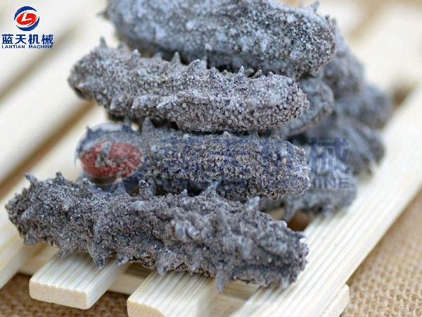 Sea Cucumber Drying Process