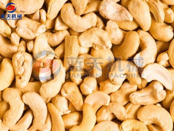 Cashew Drying Process